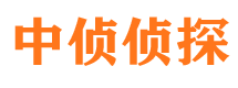 察隅调查公司